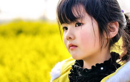 萝莉直播