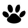 猛兽录音