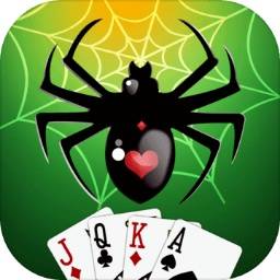 蜘蛛纸牌
