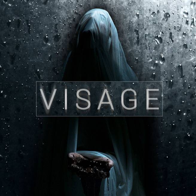 面容visage