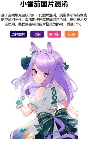 小番茄解图片混淆